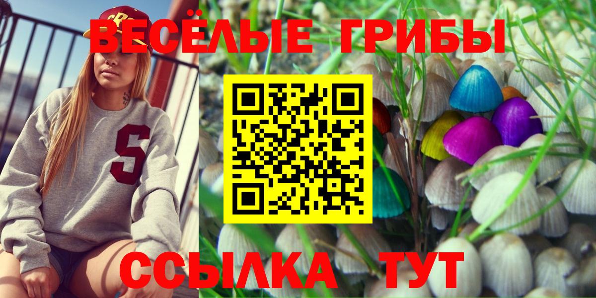 Галлюциногенные грибы Cubensis  Галлюциногенные грибы Cubensis  Новороссийск  Вход с VPN 