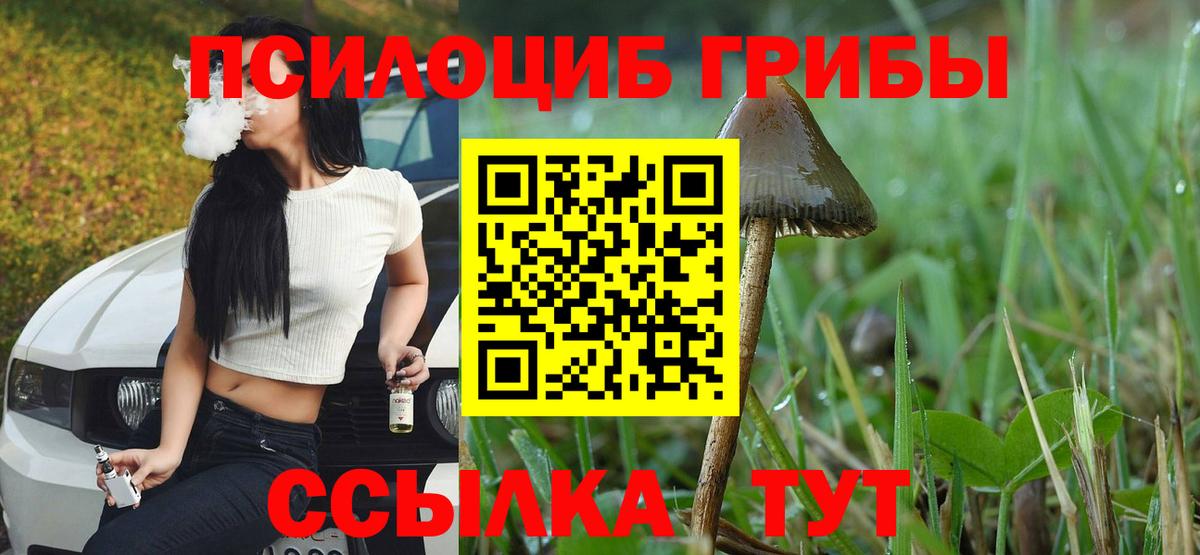 Галлюциногенные грибы Magic Shrooms Новороссийск